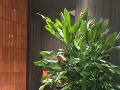 -锦庐道地川菜(来福士店)