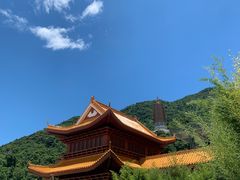 -深圳仙湖植物园