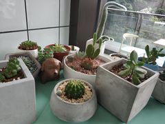 -蜜蜂小象·榴莲千层蛋糕(时代汇11栋店)