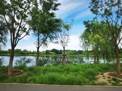 -东郊湿地公园