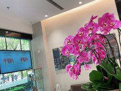 -TSK齿科德申会口腔门诊·联洋诊所