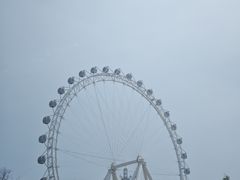 -日照海滨国家森林公园