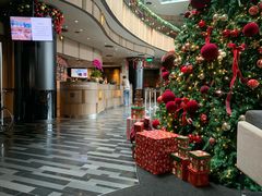 -樟宜机场皇冠假日酒店 （SG Clean） - IHG 旗下酒店