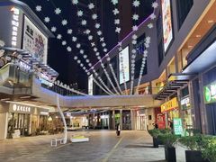 -万达广场(惠州大亚湾店)