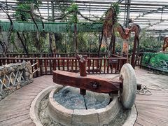 -呀路古热带植物园