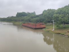 -上海海湾国家森林公园