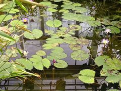 -国家植物园南园