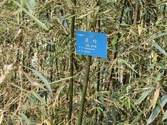 -中山市树木园