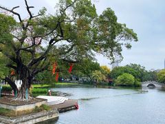 -荔湾湖公园