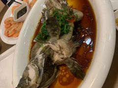-永記粤菜·五指毛桃花雕鸡煲(九亭店)