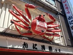 -蟹道乐(道顿堀本店)