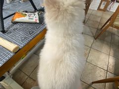 -零几体验diy皮具工作室(振业城店)