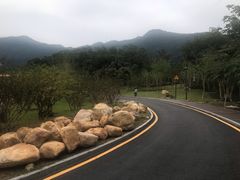 -深圳仙湖植物园-停车场