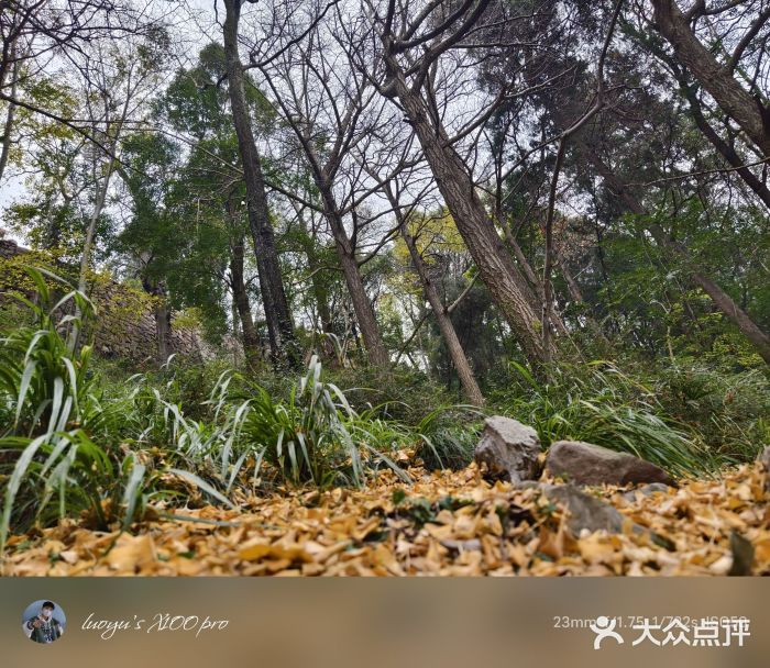 金堂县云顶石城风景区图片