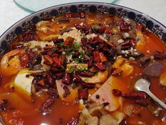 -金蝉食府(维吉奥广场店)