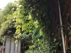 -千滋百味·醉江澜花园餐厅(街道口店)