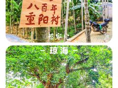 -蔡家宅