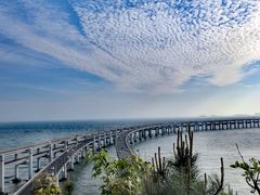 -星海湾跨海大桥