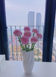 -Hello Lady发型设计