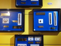 -上海昆虫博物馆