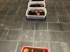 -巴人堂(女儿城店)