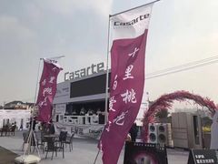 -南汇桃花村
