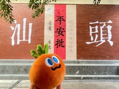 -老妈宫粽球