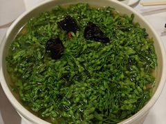 -山泉公馆酒家(珠江新城店)