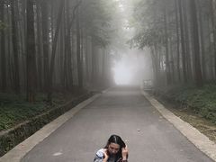 -山王坪喀斯特国家生态公园