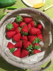 -幻贝家儿童乐园(苏州中心店)