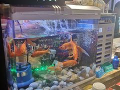 -汉城烧烤(西稍门劳动路店)