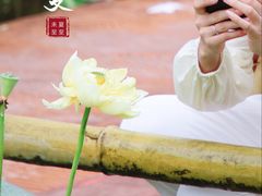 -广州莲花山旅游区