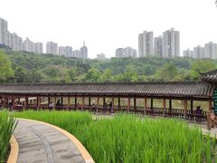 -龙头寺公园