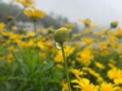-普迪生态园
