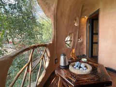 -天门沟九州驿站树上汤泉