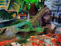 -太平洋海底世界