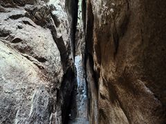 -鲁山国家森林公园