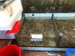 水产-秋姐美食店(旅游大道店)