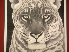 -江苏省美术馆(长江路新馆)