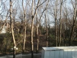 -皇家月府月子中心(沈阳店)