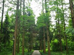 -上海怡沁园度假酒店