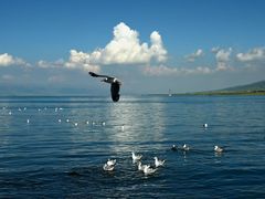 -青海湖国家重点风景名胜区