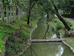 -北坞公园