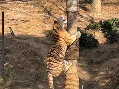 -杭州野生动物世界