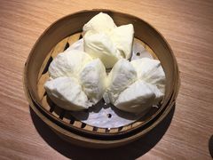 -南枝记