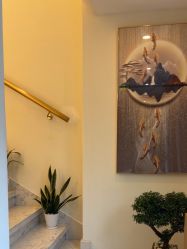 -海涛医疗美容·面部抗衰·注射美鼻