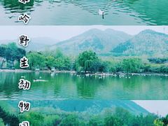 -西安秦岭野生动物园