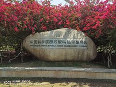 -中国科学院西双版纳热带植物园
