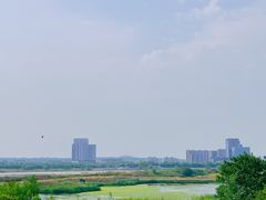 -渭河城市绿地运动公园