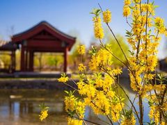 -张家湾公园